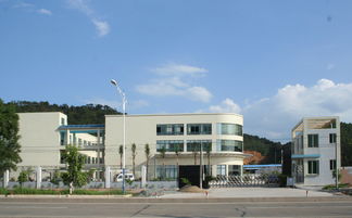 匠心独运，木艺生辉 探访高要市白土镇润和工艺品加工厂与鼎龙木业